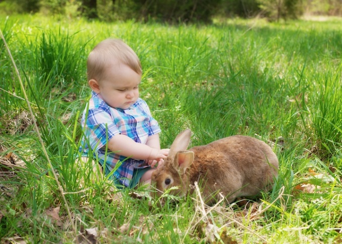 baby boy with bunny