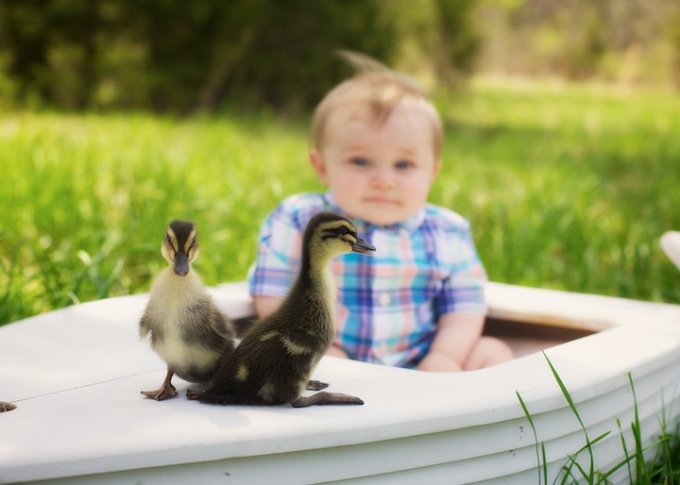 baby boy with ducks