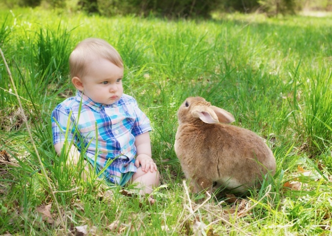 boy with bunny